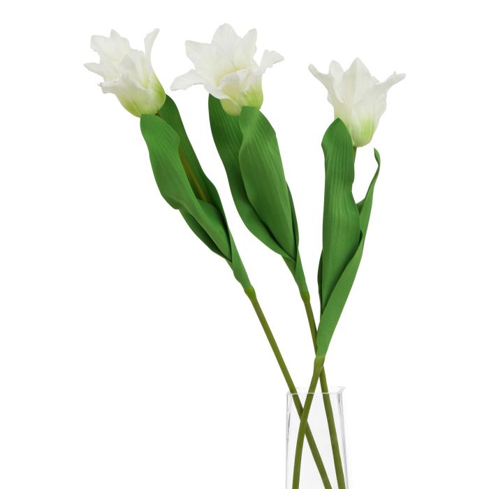 6 Stems of The Natural Garden Collection White Parrot Tulip