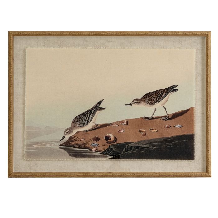 Flora & Fauna Collection Stints On Linen In Beaded Frame