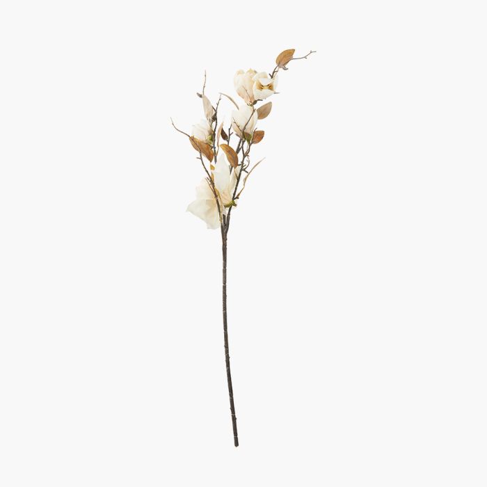 6 Stems of Natural Cream Magnolia