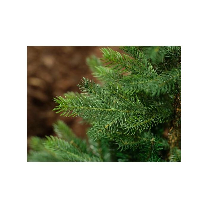 Grandis Fir 180cm Artificial Christmas Tree