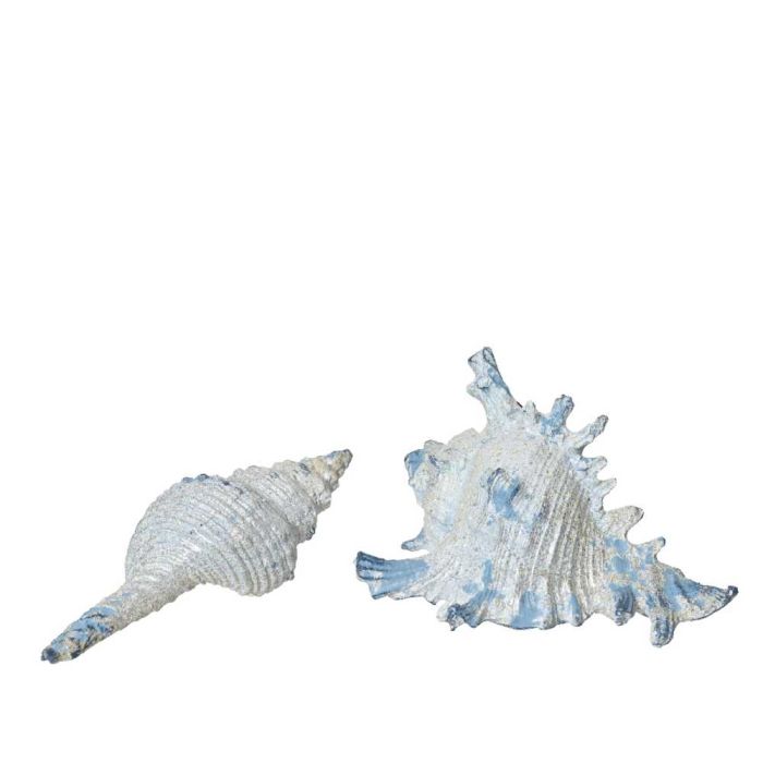 Set of 2 Shell Ornaments - Polyresin