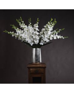 6 Stems of White Gladioli