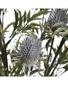 6 Stems of Eryngium Blue Thistle