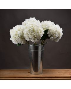 3 Stems of Oversized White Hydrangea