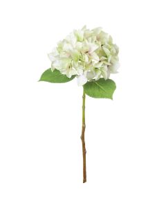 6 Stems Shabby Green Single Hydrangea