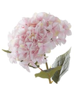 3 Stems Giant Pink Hydrangea