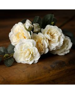 3 Stems of Soft White Cottage Rose Stem
