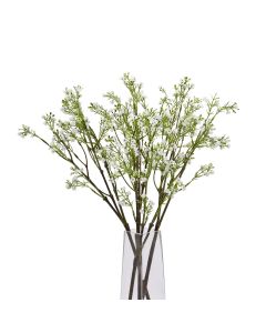 Lily Of The Valley