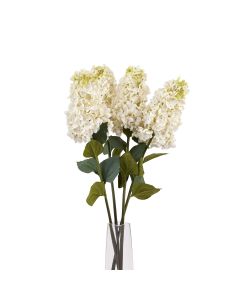 3 Stems of White  Spear Hydrangea