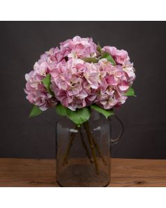 Shabby Pink Single Hydrangea