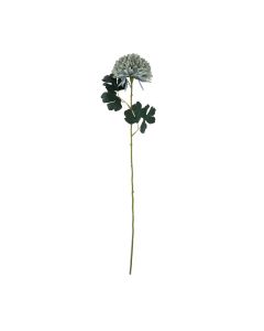 6 Stems of Pale Blue Chrysanthemum