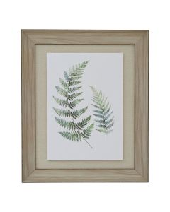 Watercolour Fern Duo In Washed Wood Frame