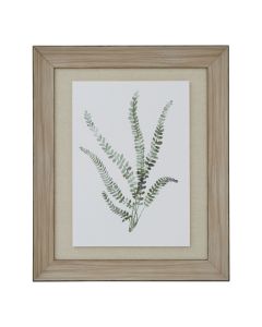 Watercolour Delicate Fern In Washed Wood Frame