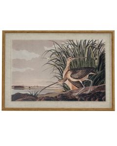 Flora & Fauna Collection Curlews On Linen In Beaded Frame
