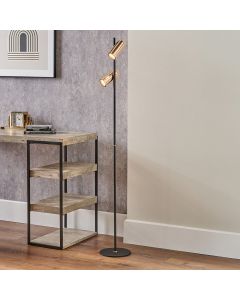 Xena Black and Rose Gold Metal LED Floor Lamp