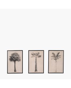S/3 Natural and Black Palm Tree Print Canvases with Black Frames