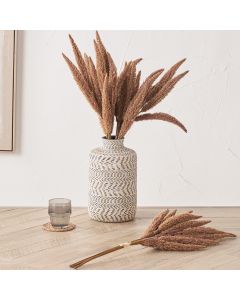 Mulberry Brown Foxtail Hand-Tied 3 Stem Bundle Pack of 6
