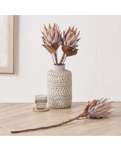 Mulberry Brown Protea Pack of 6