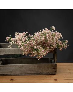 Pink Babys Breath Gypsophilia