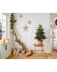 Outdoor Grandis Fir 90cm Pre-Lit Artificial Christmas Tree