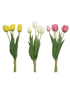 Raffia Tied Tulip Bunch