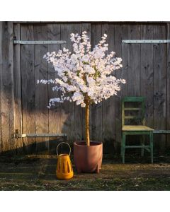 Cherry Blossom Artificial Tree on Foot 175cm