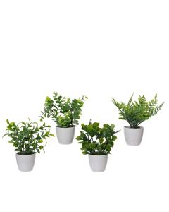 Set of 4 Mixed Green Artificial Plants in White Pots