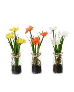 Set of 3 Coreopsis Artificial Plants in Glass Jar 22cmH