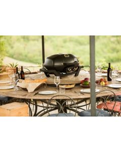 Napoleon TravelQ PRO285 - 2 Burner Gas BBQ