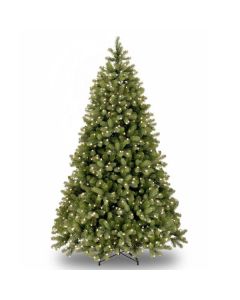 Bayberry Spruce 6ft Tree 500 Warm White LEDs